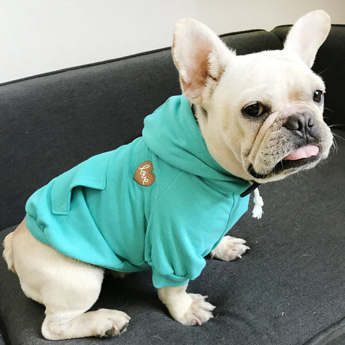 Love Hoodie | Small Dog | TURQUOISE