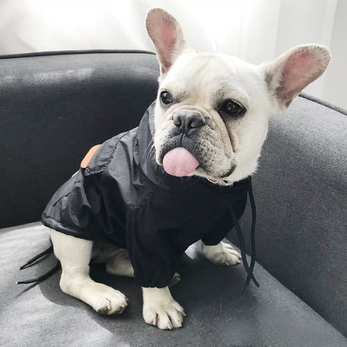 Waterproof Jacket | Small Dog | BLACK