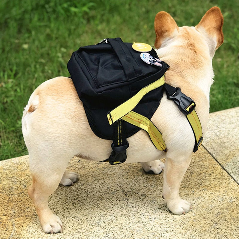 Vest Harness | Dog | BLACK & YELLOW