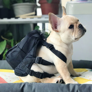 Vest Harness | Dog | Black