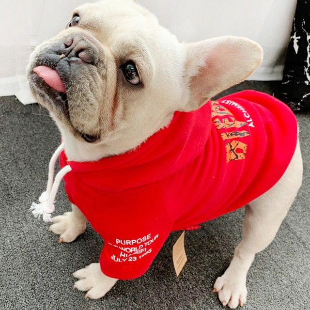 Bieber Hoodie | Small Dog | RED