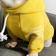 Load image into Gallery viewer, Bieber Hoodie | Small Dog | YELLOW