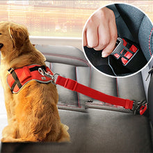 Load image into Gallery viewer, Seat Belt | Dog | RED